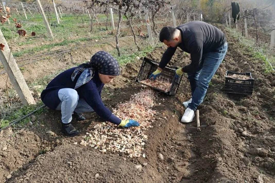 Hobi olarak başladığı iş, Türkiye'nin yeni ihracat kapısı oldu 12